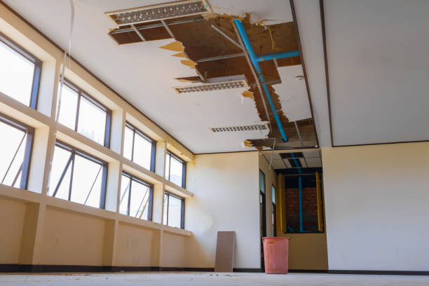 Best Flood damage cleanup  in Harper, TX