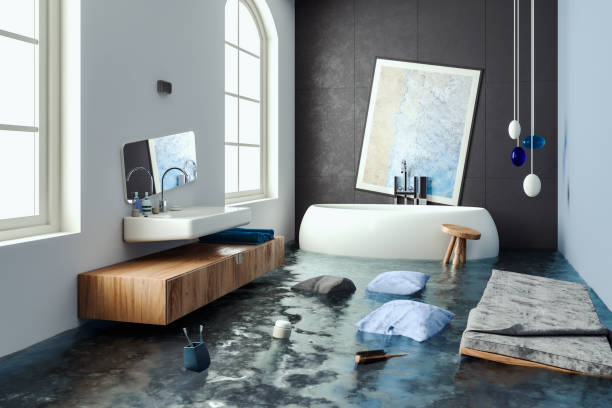 Best Professional water damage repair  in Harper, TX