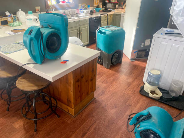 Best Fire Damage Restoration  in Harper, TX