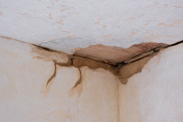 Best Flooded house restoration  in Harper, TX