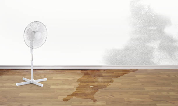 Best Water damage restoration services  in Harper, TX