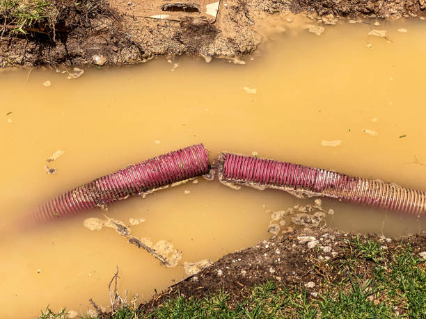 Best Mold removal after water damage  in Harper, TX